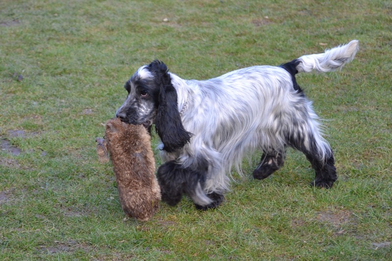 35-Betty se nedá kluky zahanbit!.JPG